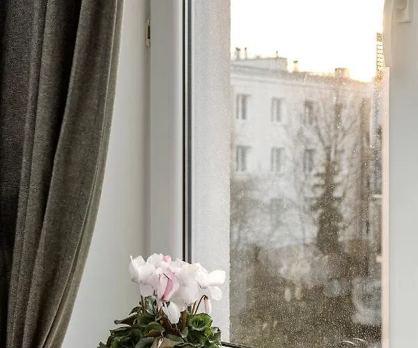 Shortstaypoland Dlugosza *